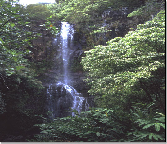 Wasserfall Mauii
