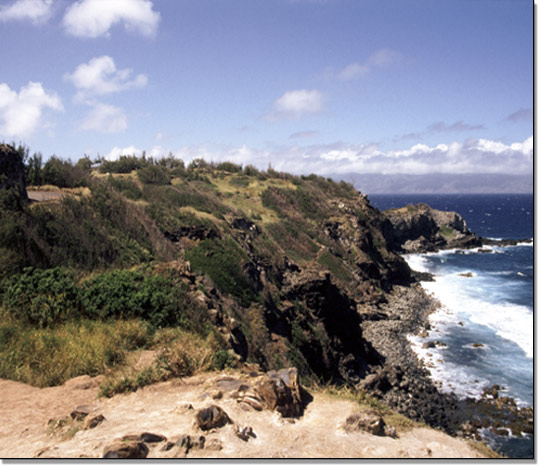 Hawaii Mauii