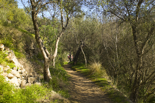 Deia-Soller