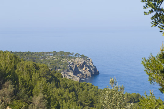 Deia-Soller