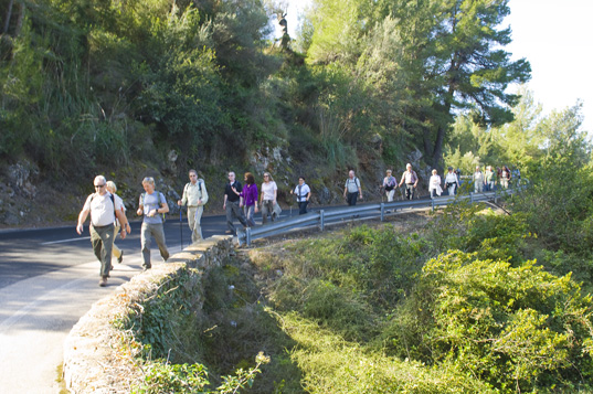 Deia-Soller