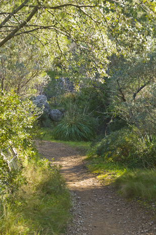 Deia-Soller