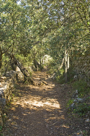 Deia-Soller