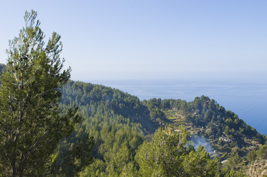 Deia-Soller