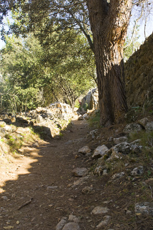 Deia-Soller