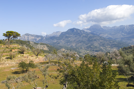 Deia-Soller