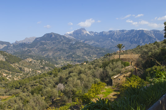 Deia-Soller