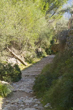 Deia-Soller