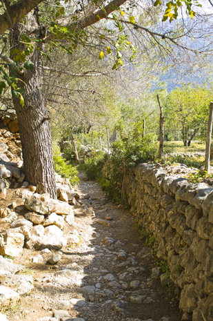 Deia-Soller