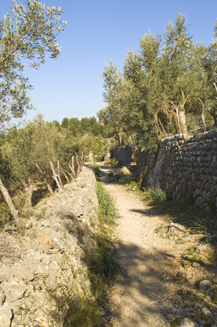 Cala Turent