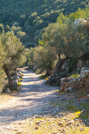 Cala Turent