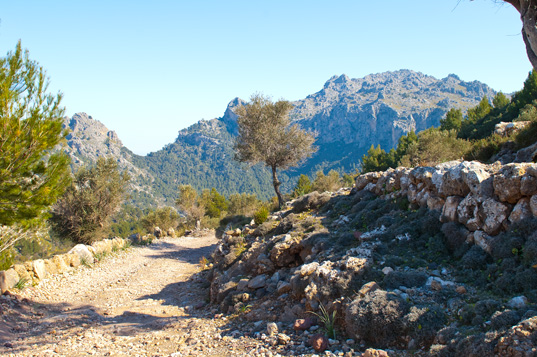 Cala Turent