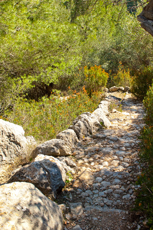 Cala Turent