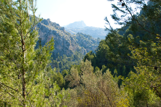 Cala Turent