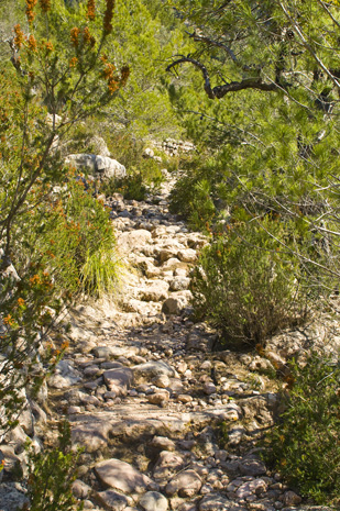 Cala Turent