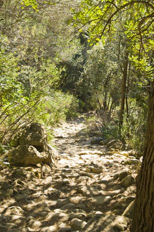 Cala Turent