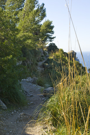 Cala Turent