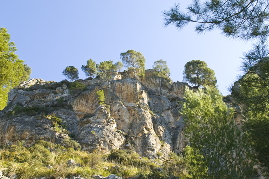 Cala Turent