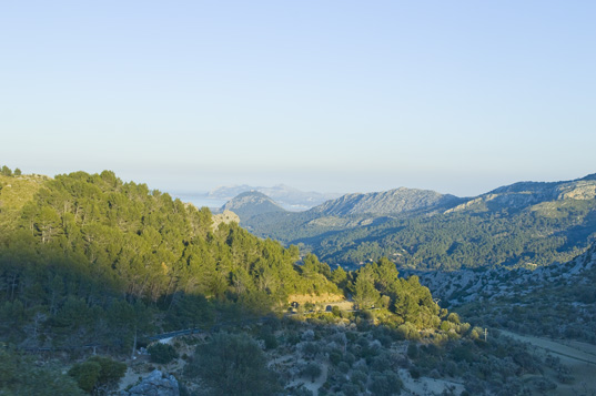 Cala Turent