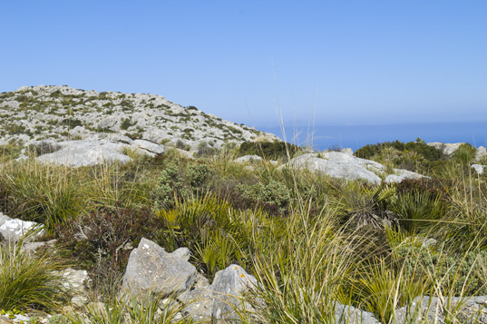 Die Westspitze - Cala Turent