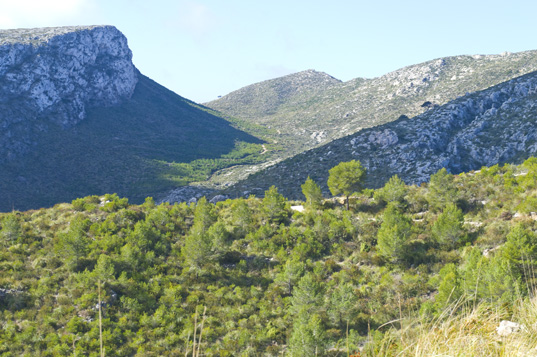 Die Westspitze - Cala Turent