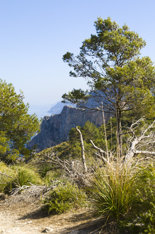 Die Westspitze - Cala Turent