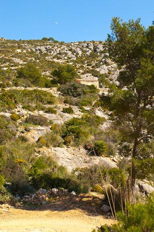 Die Westspitze - Cala Turent