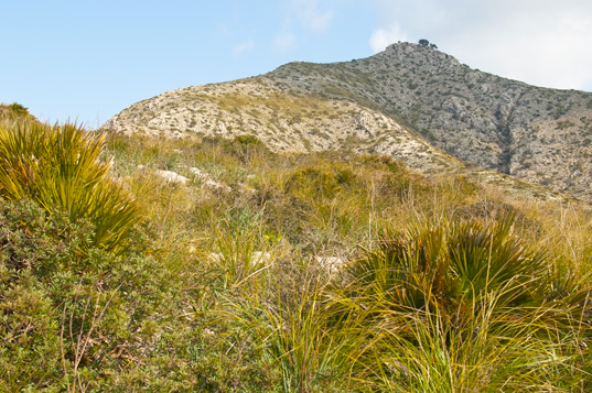 Die Westspitze - Cala Turent