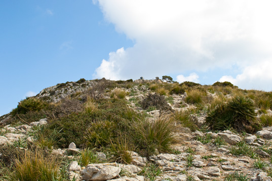 Die Westspitze - Cala Turent