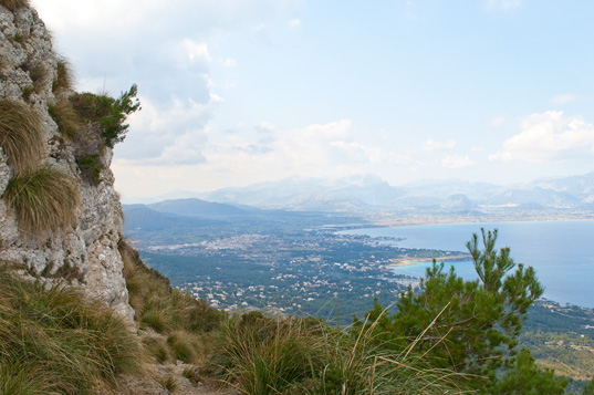 Alcudia - Victoria