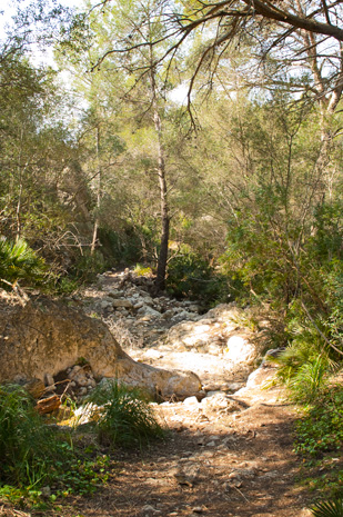 Alcudia - Victoria