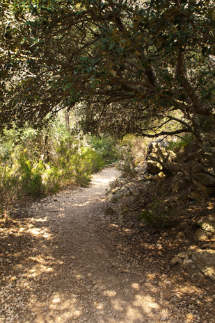 Valldemossa