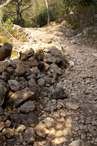 Valldemossa