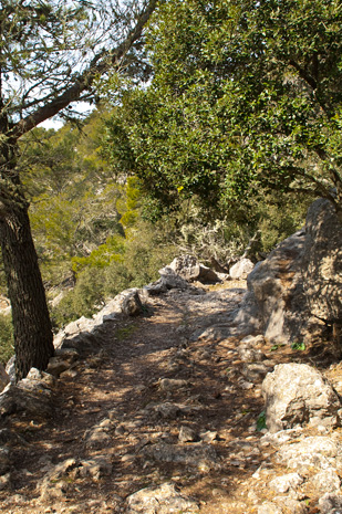 Valldemossa