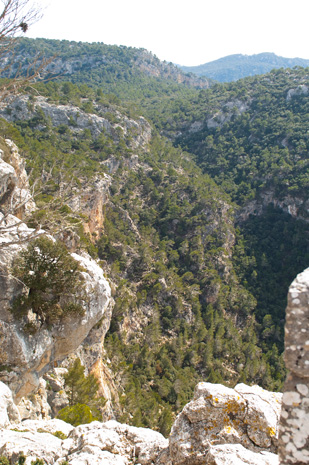 Valldemossa