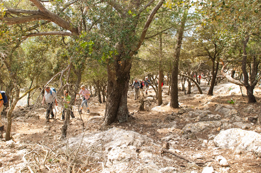 Valldemossa