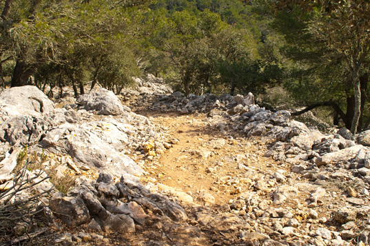 Valldemossa