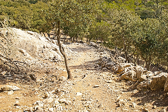 Valldemossa