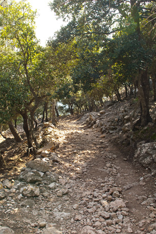 Valldemossa